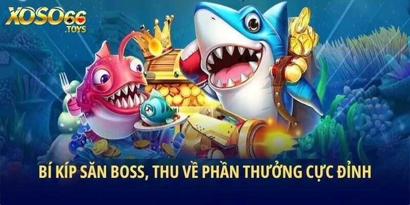 Bí kíp khi bắn cá Xoso66 đạt được kết quả cao