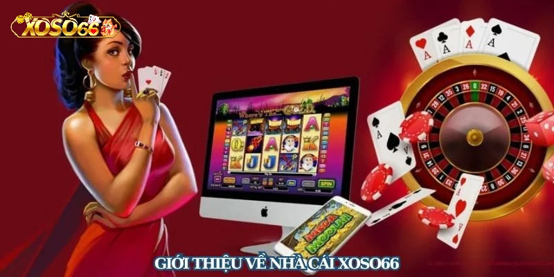 Tổng quan về nhà cái XoSo66